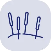 Acupuntura