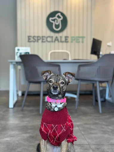 especiale pet - 03