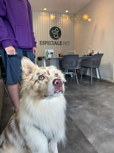 especiale pet - 05